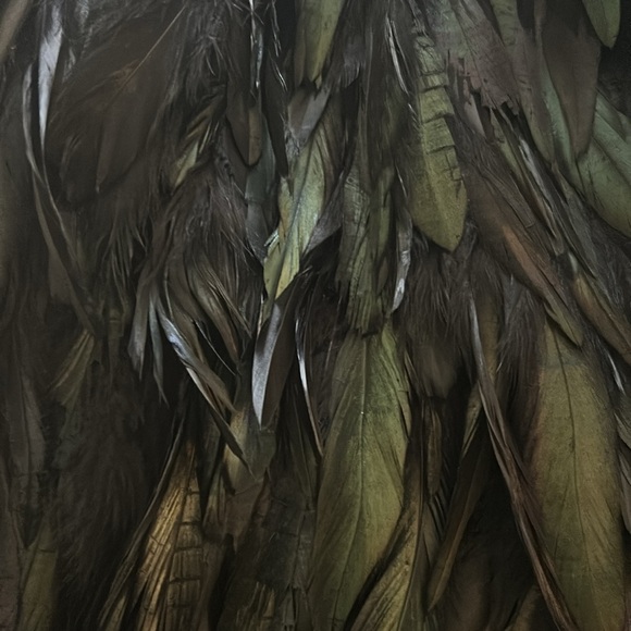 Feather mini skirt  - never worn - Picture 3 of 3